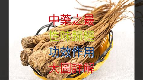 蟬蛻禁忌|蟬蛻:入藥部位,性味,歸經,功效,主治,相關配伍,用法用量,使用注意,。